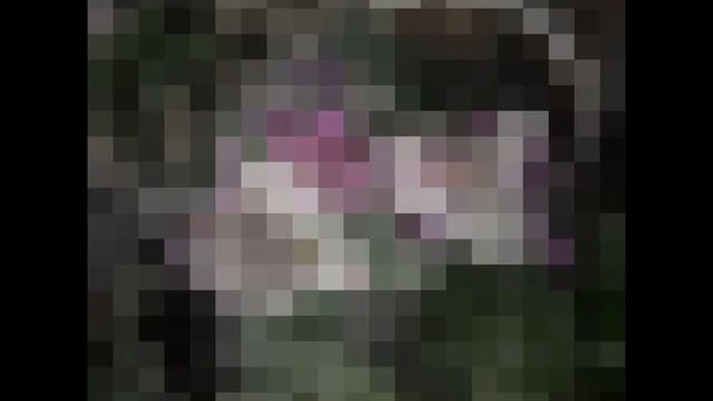 Фиалки смотреть онлайн