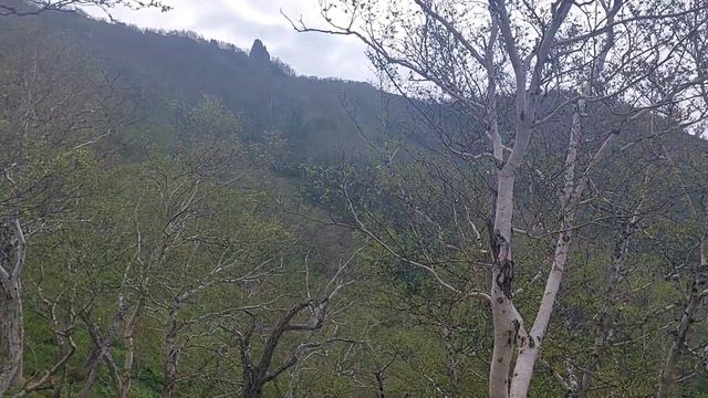 Камчатка Петропавловск-Камчатский Камчатский камень