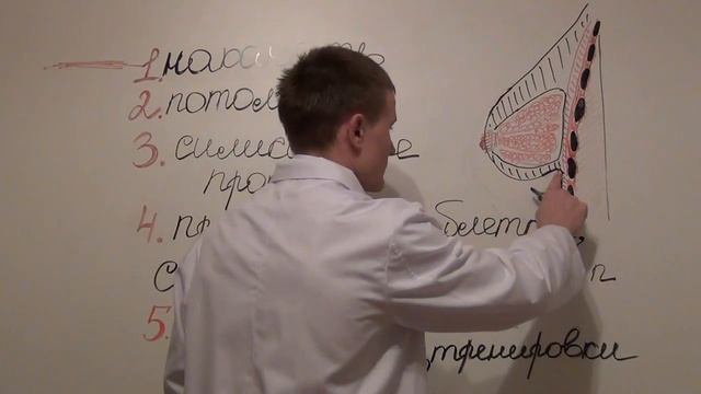 Способы, методики, мифы об увеличении женской груди / Как увеличить грудь без хирургии