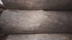 Артель "Данила, Макар и братья"