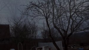 РАДИКАЛЬНАЯ ОМОЛОЖКА И РАЗГРУЗКА СТАРОГО САДА.