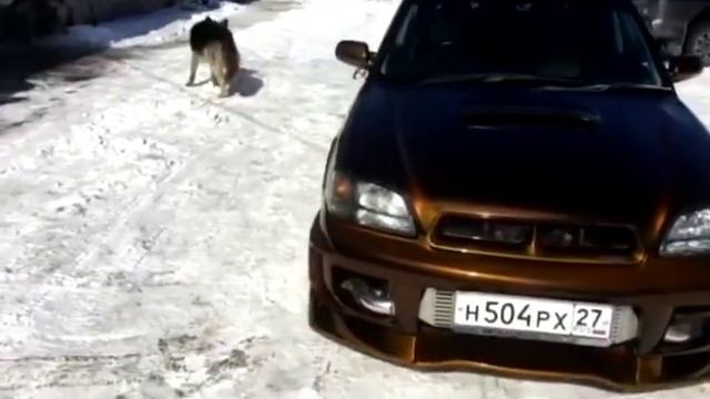 BC12GL BrilliC - Золотой Песок (эксклюзивная краска FXColor) смотреть онлайн