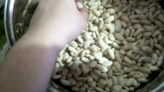 Как правильно варить фасоль.