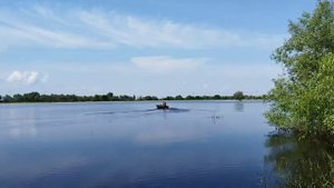 СибирячкаМ из ПНД пробный тест