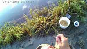 Рыбалка пригороде на фидер./Рыбалка Севера