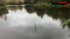 Ловля на поплавок перед зимним сезоном.