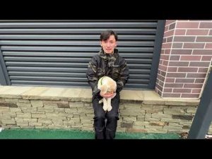 Барса! Юный смышлёныш! Как обучать щенят!