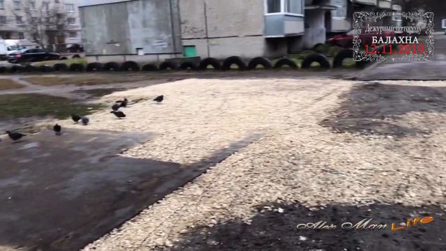 Дежурный по городу.  Балахна. 12.11.2019.