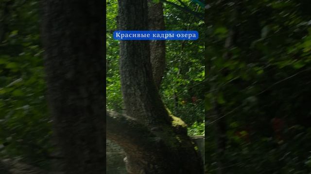 Красивые кадры озера