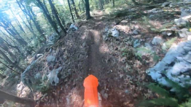 BETA RR300 vs KTM EXC300 TPI