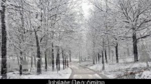 Adoramus (Latin lyrics with English translation)