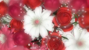 ФУТАЖ Букет цветов - Footage Bouquet of flowers