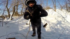 КАБАН ВСЁ ПЕРЕГРЫЗ |охота на кабана