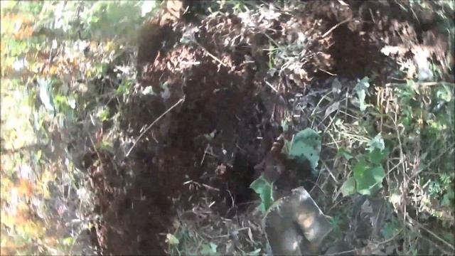 Первый осенний коп. смотреть онлайн