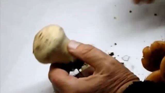 Какие грибы дождевики? смотреть онлайн