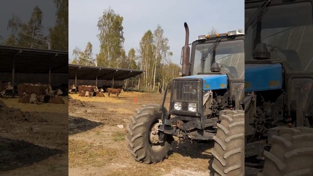 КФХ ГЕРЕФОРД - Как всё начиналось