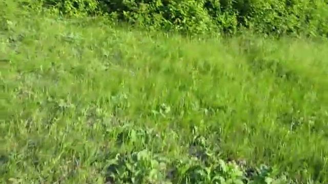 MVI 6779 смотреть онлайн