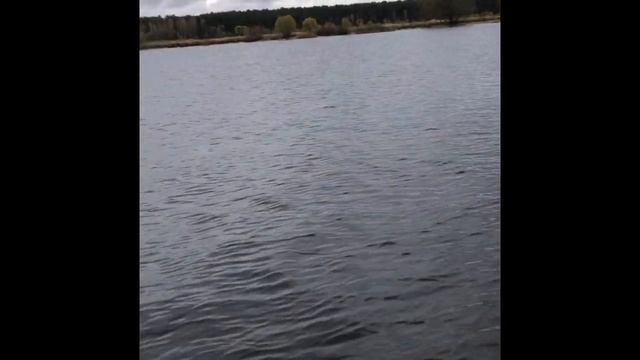 Пердолим судаков. Рыбинка. Рыбалка на Рыбинском водохранилище. 16.10.2020 смотреть онлайн