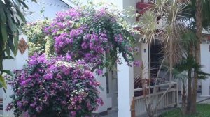 Обзор отеля Natural Park Паттайя. Странные игры взрослых а бассейне