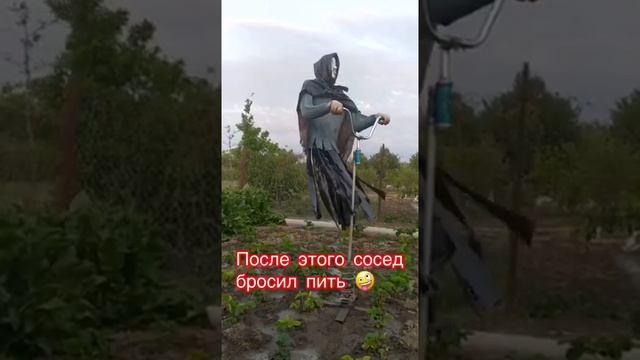 Жена попросила мужа сделать пугало