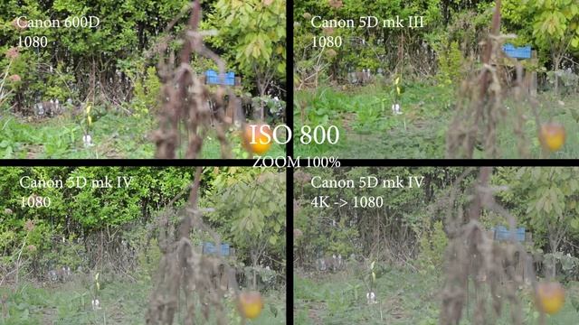 Comparison 1080 - CANON 600D VS 5D mk III VS 5D mk IV смотреть онлайн