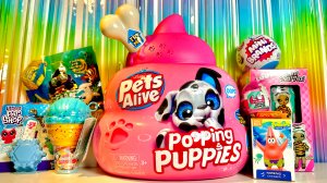 Сюрприз MIX! PETS ALIVE POOPING PUPPIES, 5 SURPRISE MINI BRANDS, NA! NA! NA! LOL, LITTLET PET SHOP