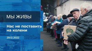 Мы живы! Фрагмент информационного канала от 29.12.2022