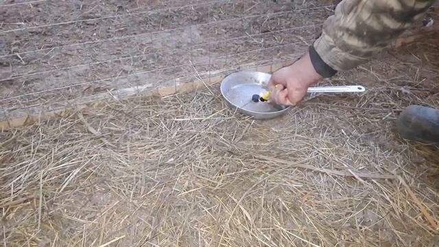 Йод- аэрогель! Небольшая дезинфекция курятника!