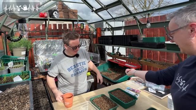 How to grow petunias from seed teaching a first time grower смотреть онлайн