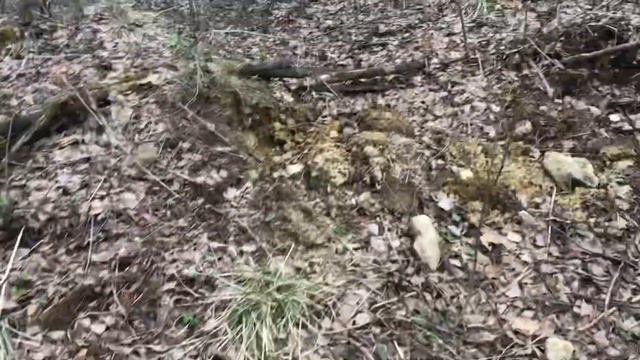 Лихорадка не вирус! смотреть онлайн