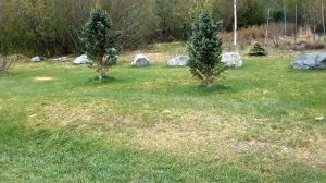 Короткая прогулка к океану. США.  Аляска . Анкоридж.