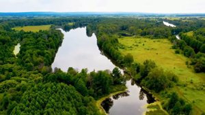 Оркестр Поля  Мориа --- "Крёстный  отец"