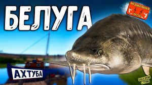 РР4/ рыбалка для души, ловим как универсал, общаемся 14.01.24