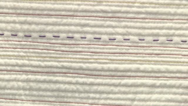 Cassandra Beaver Wins Honorable Mention Award at AQS QuiltWeek смотреть онлайн