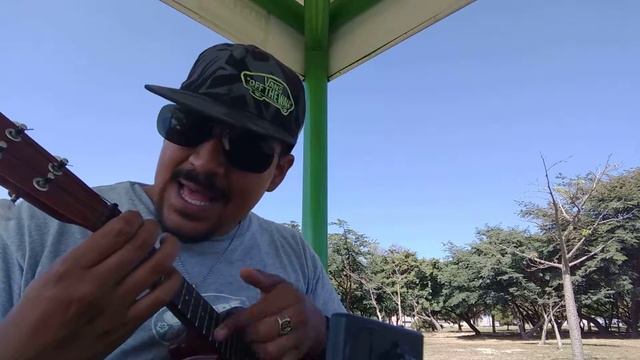 ZOIDS opening 1 (ukulele cover) смотреть онлайн