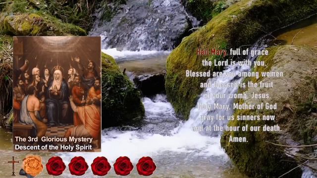 🌹Wednesday Rosary🌹FEAST of St. COLETTE🌹 Glorious Mysteries of the Holy Rosary March 6, 2024 смотреть онлайн