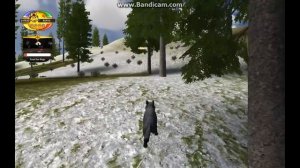 КАК БЫСТРО ПРОЙТИ ИГРУ?~WOLF QUEST 2.7.3