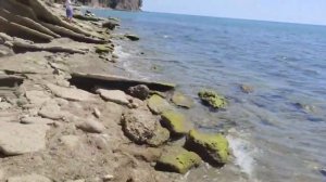 АБХАЗИЯ. ПИЦУНДА. МОРЕ. РЫБЗАВОД. ОТЗЫВ