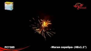РС7385 Магия серебра (1.1х48)
