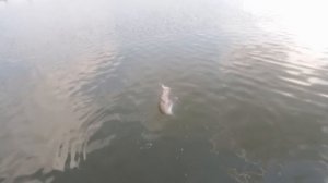 Рыбалка в Таганроге на ультралайт.