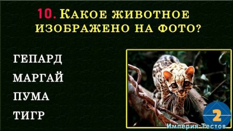 Тест на эрудицию! ТОЛЬКО ГЕНИЙ ОТВЕТИТ на 20 из 20 вопросов ПРАВИЛЬНО! #тестнаэрудицию #эрудиция