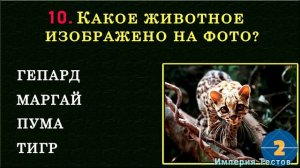 Тест на эрудицию! ТОЛЬКО ГЕНИЙ ОТВЕТИТ на 20 из 20 вопросов ПРАВИЛЬНО! #тестнаэрудицию #эрудиция