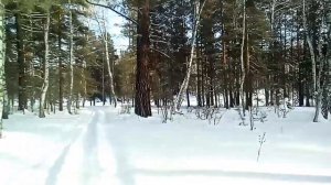 СПК " ПЕРМСКИЕ ПЧЕЛЫ " часть 1