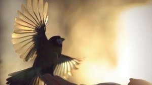 Светлана Абаева - Стихи 4