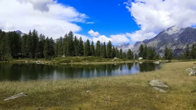 После смерти мужа к Ирине позвонили. Увидев свёрток в руках у незнакомки, женщина обомлела. А через смотреть онлайн