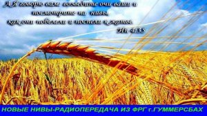 Новые нивы 628   Радиопередача из ФРГ  г Гуммерсбах