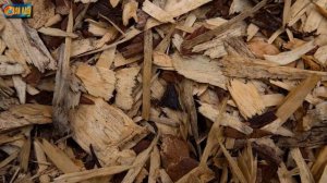 Укрытие клубники на зиму. Выбираем материал, определяем как и когда это будем делать.