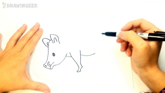 How to draw a Boar Step by Step | Boar Drawing Lesson