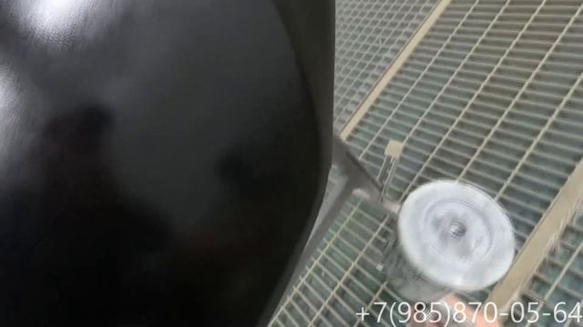 Ремонт и окрас "Toyota Camry 50" смотреть онлайн