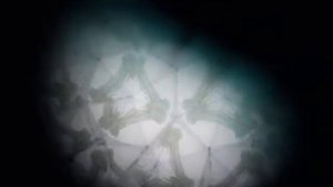 GMS - Juice of Medusa's Turritopsis Nutriculas Requiem for a Dream